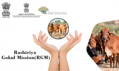 राष्ट्रीय गोकुल मिशन
