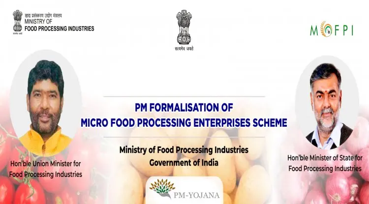FME - Formalization of Micro Food Processing Enterprises Scheme