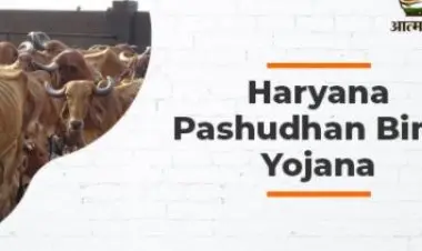 हरियाणा पशुधन विमा योजना 2022 ऑनलाइन अर्ज: नोंदणी फॉर्म, पात्रता आणि फायदे