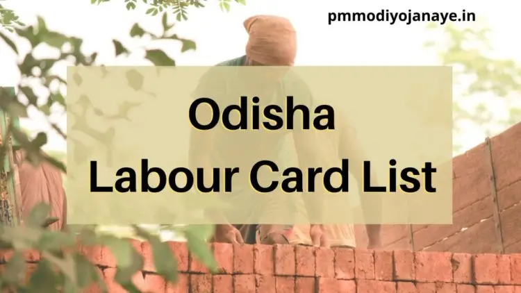 Odisha Labour Card List 2022: Beneficiary Status by Village and District