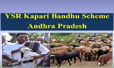 ওয়াইএসআর কাপারি বন্ধু প্রকল্প 2022-এর জন্য অনলাইন আবেদন, বৈশিষ্ট্য এবং যোগ্যতা