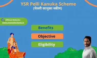 YSR পেলি কানুকা স্কিম 2022-এর জন্য আবেদনের স্থিতি এবং অনলাইন আবেদন
