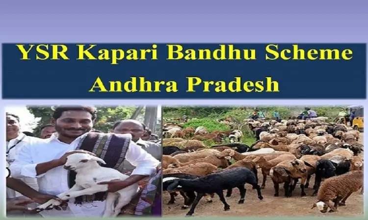 Online Application, Features, and Eligibility for the YSR Kapari Bandhu Scheme 2022