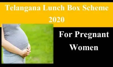 তেলেঙ্গানা লাঞ্চ বক্স স্কিম 2021: গর্ভবতী মায়েদের জন্য একটি স্বাস্থ্যকর ডায়েটের সুবিধা
