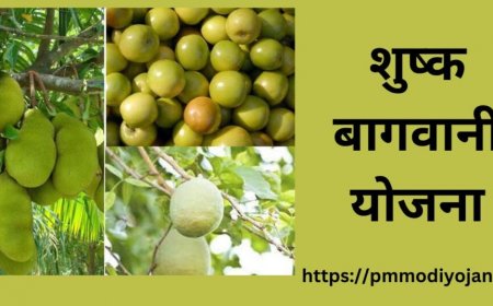 शुष्क बागवानी योजना 2023