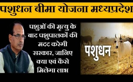 पशुधन विमा योजना 2023