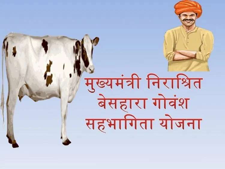 Chief Minister Destitute Destitute Cow Dynasty Participation Scheme Uttar Pradesh