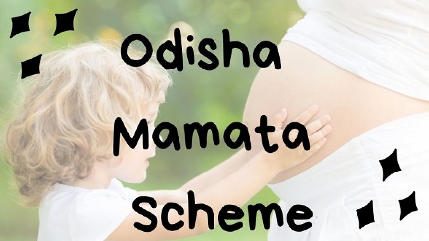 Odisha Mamata Scheme 2023