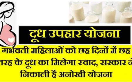 मुख्य मंत्री दूध उपर योजना 2023