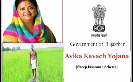 अविका कवच योजना 2023
