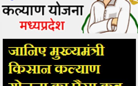 मुख्यमंत्री शेतकरी कल्याण योजना 2024
