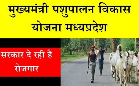 मुख्यमंत्री पशुसंवर्धन विकास योजना 2023