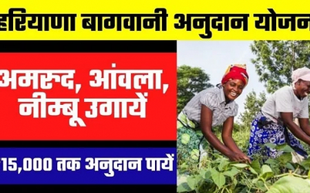 फलोत्पादन अनुदान निधी योजना2023